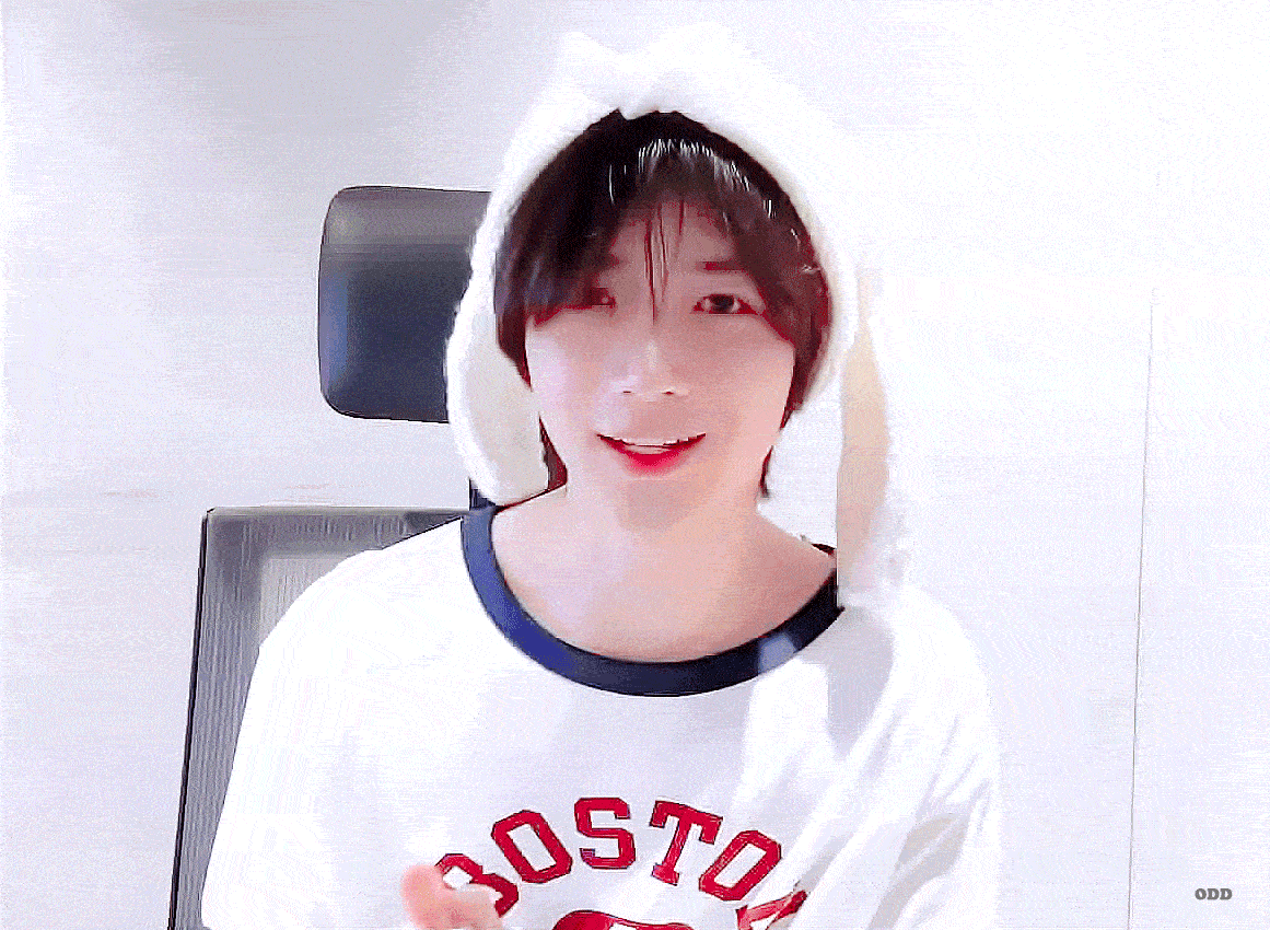 Pastelle bear Caard pastelle-bear-caard